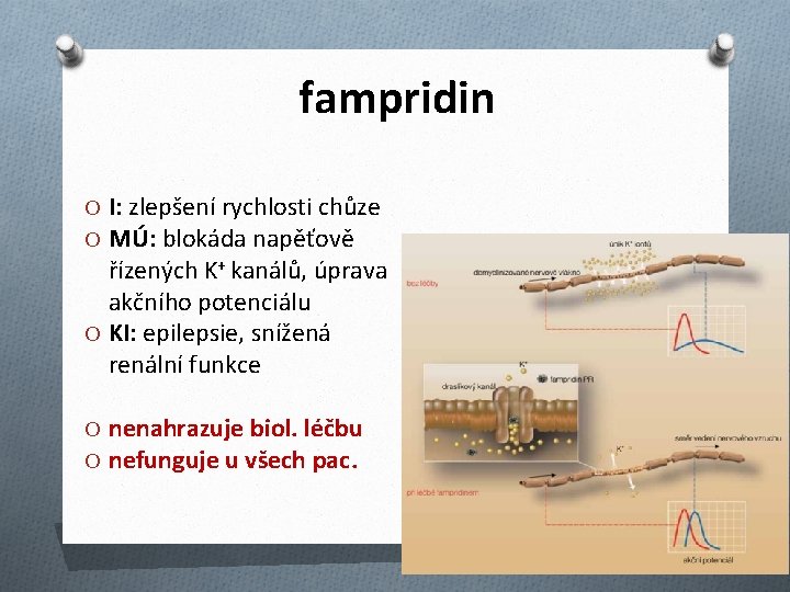 fampridin O I: zlepšení rychlosti chůze O MÚ: blokáda napěťově řízených K+ kanálů, úprava