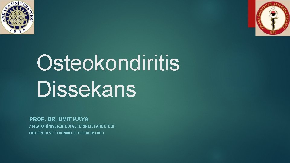 Osteokondiritis Dissekans PROF. DR. ÜMIT KAYA ANKARA ÜNIVERSITESI VETERINER FAKÜLTESI ORTOPEDI VE TRAVMATOLOJI BILIM