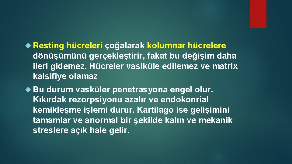  Resting hücreleri çoğalarak kolumnar hücrelere dönüşümünü gerçekleştirir, fakat bu değişim daha ileri gidemez.