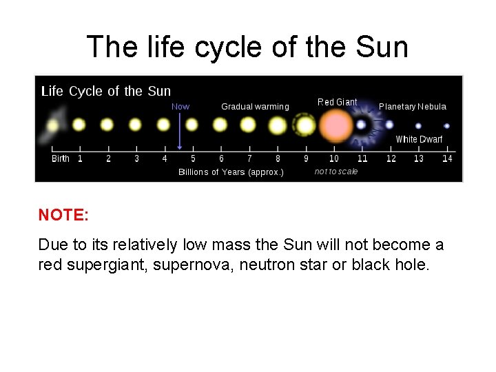 The life cycle of the Sun NOTE: Due to its relatively low mass the
