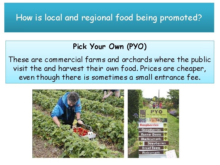 How is local and regional food being promoted? Pick Your Own (PYO) These are