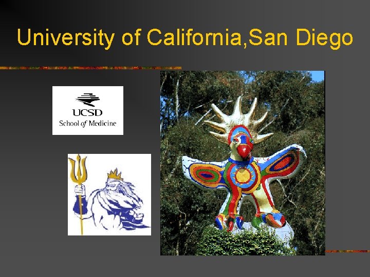 University of California, San Diego 