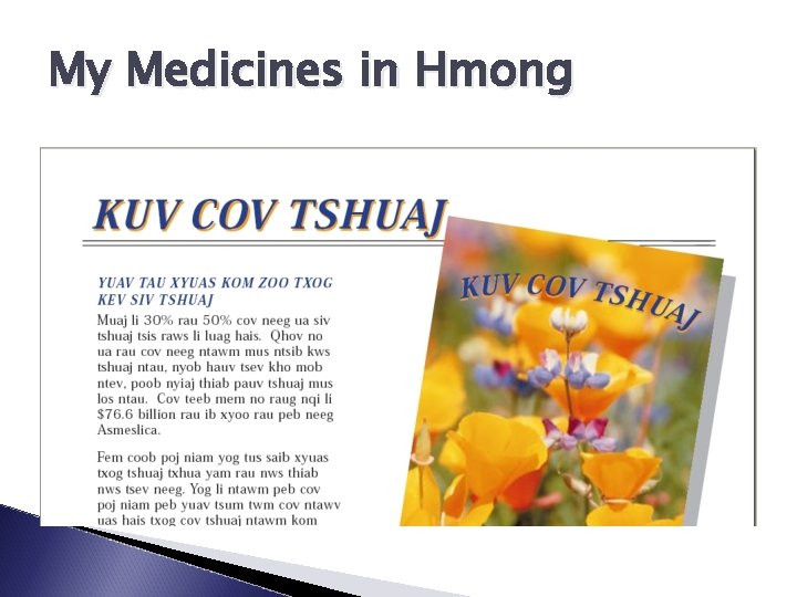 My Medicines in Hmong 