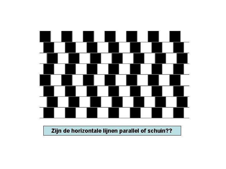 Zijn de horizontale lijnen parallel of schuin? ? 