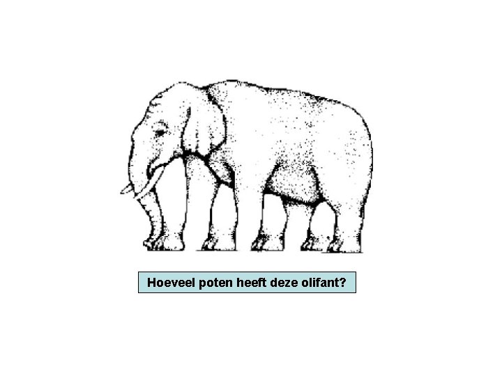 Hoeveel poten heeft deze olifant? 