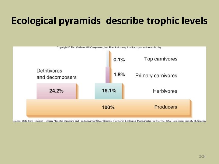 Ecological pyramids describe trophic levels 2 -24 