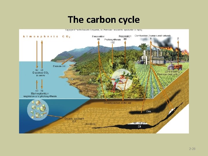 The carbon cycle 2 -28 