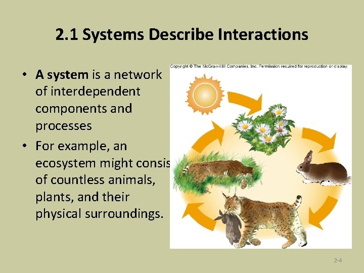 2. 1 Systems Describe Interactions • A system is a network of interdependent components