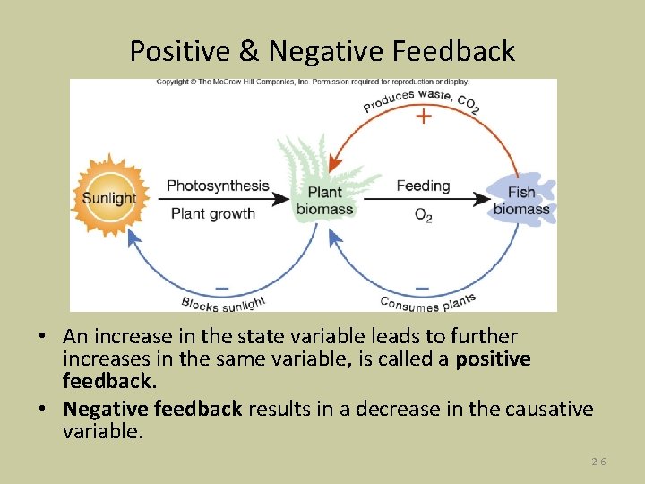 Positive & Negative Feedback • An increase in the state variable leads to further