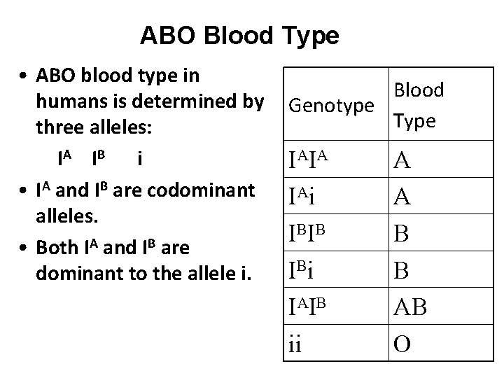 ABO Blood Type • ABO blood type in humans is determined by three alleles: