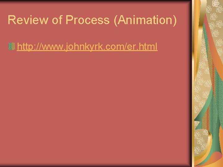 Review of Process (Animation) http: //www. johnkyrk. com/er. html 
