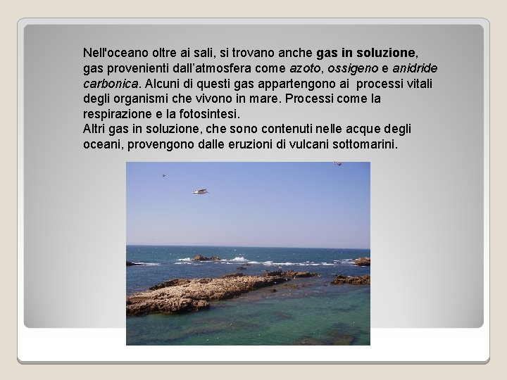 Nell'oceano oltre ai sali, si trovano anche gas in soluzione, gas provenienti dall’atmosfera come