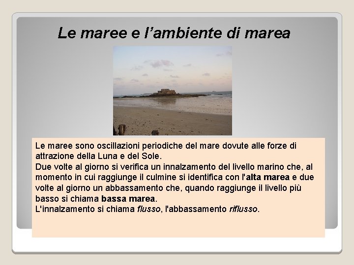 Le maree e l’ambiente di marea Le maree sono oscillazioni periodiche del mare dovute