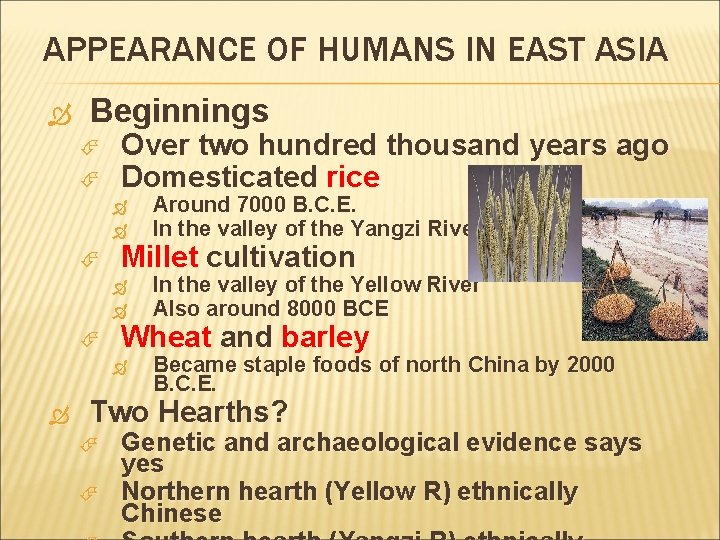 APPEARANCE OF HUMANS IN EAST ASIA Beginnings Over two hundred thousand years ago Domesticated
