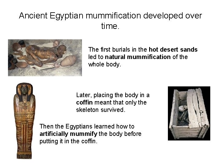 Ancient Egyptian mummification developed over time. The first burials in the hot desert sands