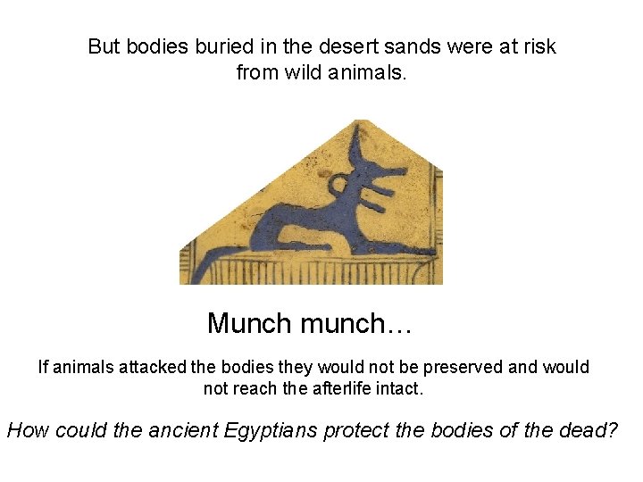 But bodies buried in the desert sands were at risk from wild animals. Munch