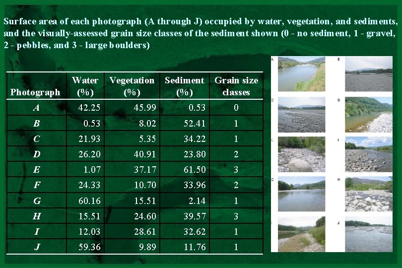 Surface area of each photograph (A through J) occupied by water, vegetation, and sediments,
