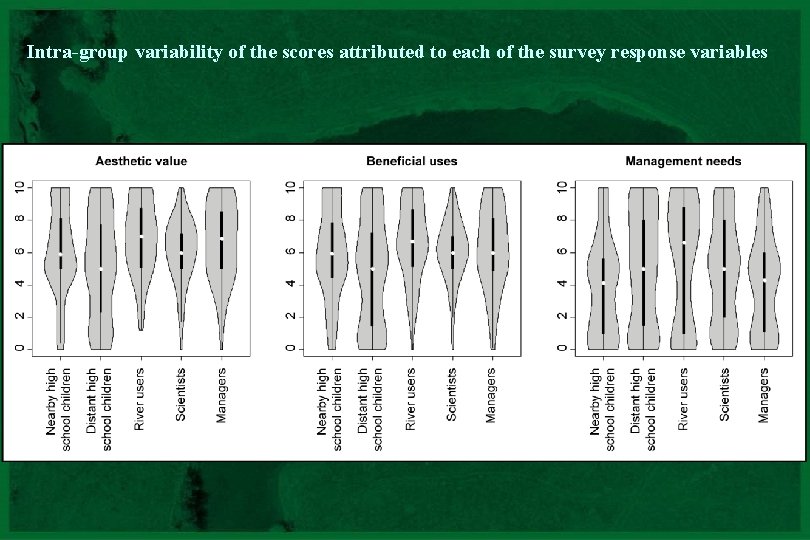 Intra-group variability of the scores attributed to each of the survey response variables CNRS