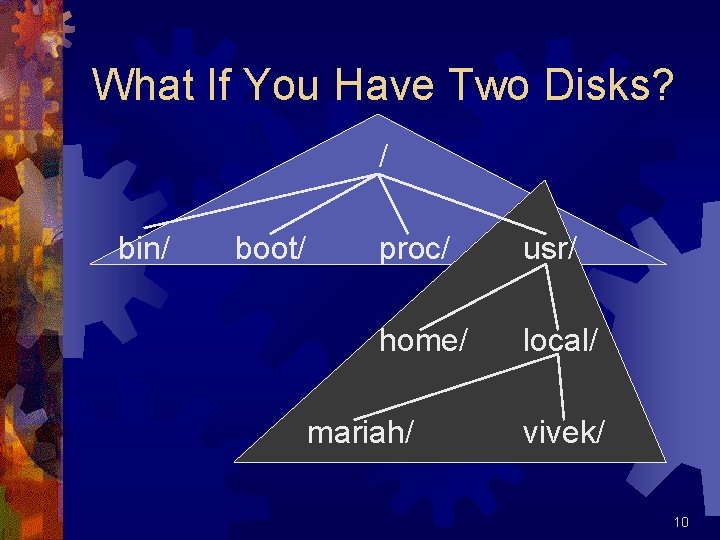 What If You Have Two Disks? / bin/ boot/ proc/ usr/ home/ local/ mariah/