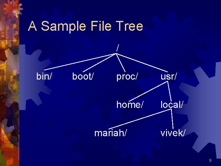 A Sample File Tree / bin/ boot/ proc/ usr/ home/ local/ mariah/ vivek/ 9