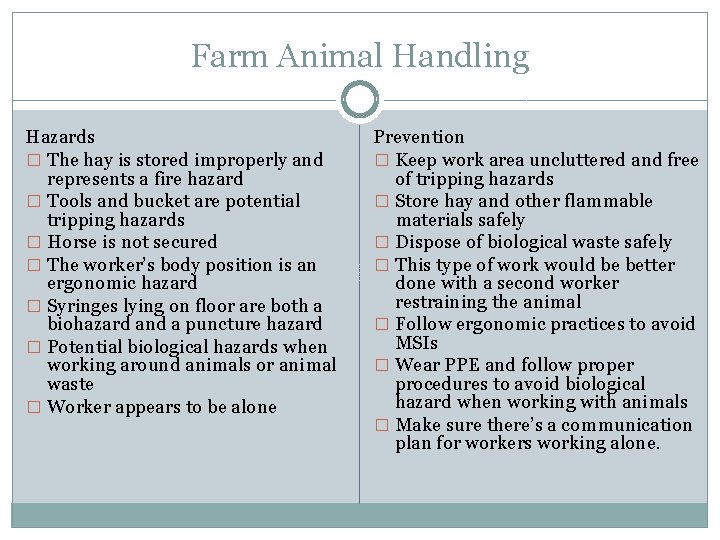 Farm Animal Handling Hazards � The hay is stored improperly and represents a fire