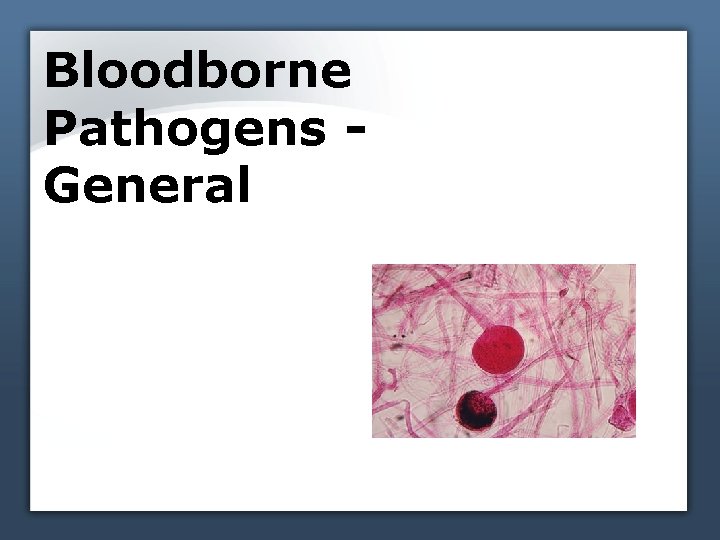 Bloodborne Pathogens General 