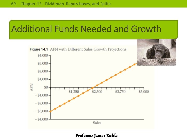 69 Chapter 13– Dividends, Repurchases, and Splits Additional Funds Needed and Growth Professor James