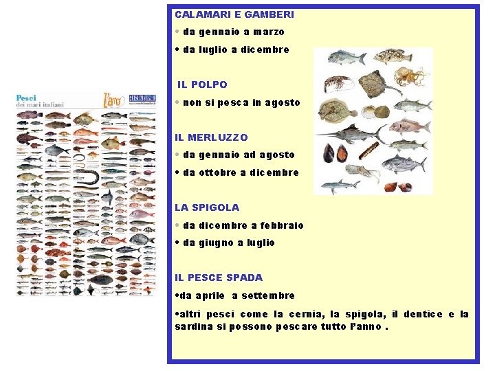CALAMARI E GAMBERI • da gennaio a marzo • da luglio a dicembre IL