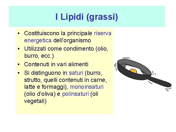 I Lipidi (grassi) • Costituiscono la principale riserva energetica dell’organismo • Utilizzati come condimento