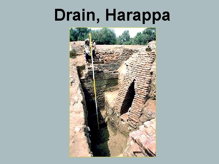 Drain, Harappa 