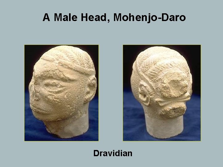 A Male Head, Mohenjo-Daro Dravidian 