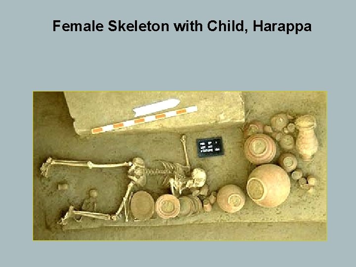 Female Skeleton with Child, Harappa 