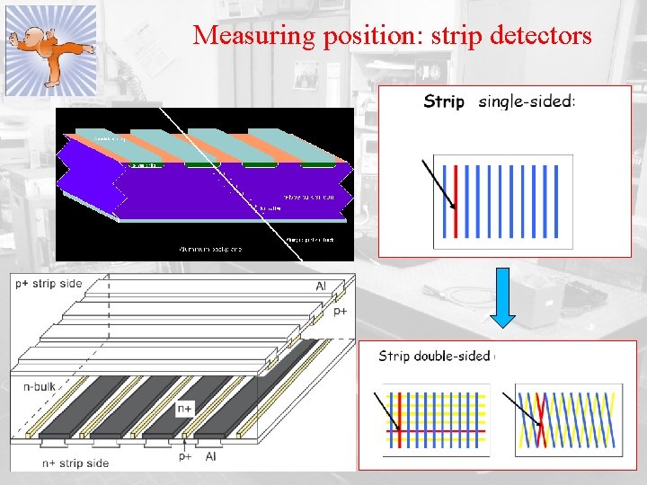 Measuring position: strip detectors 