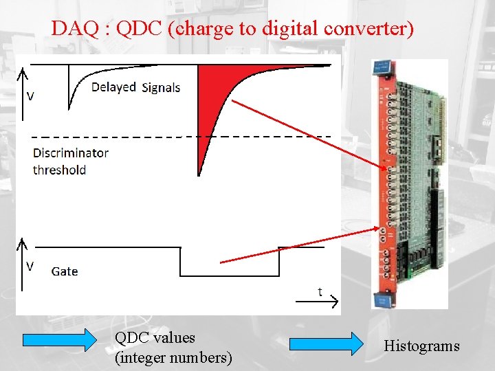 DAQ : QDC (charge to digital converter) QDC values (integer numbers) Histograms 