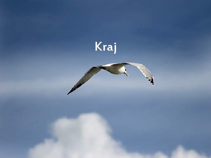 Kraj 