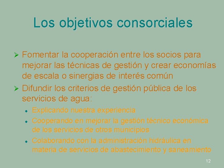 Los objetivos consorciales Fomentar la cooperación entre los socios para mejorar las técnicas de