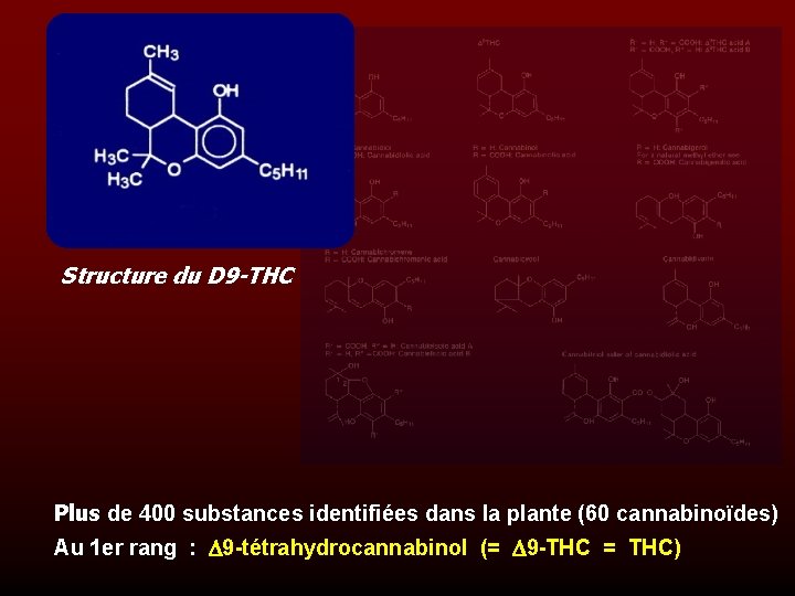 Structure du D 9 -THC Plus de 400 substances identifiées dans la plante (60