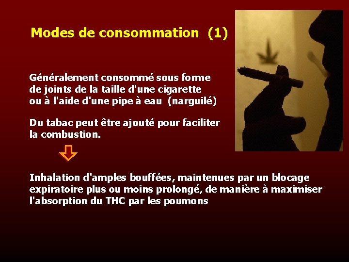 Modes de consommation (1) Généralement consommé sous forme de joints de la taille d'une