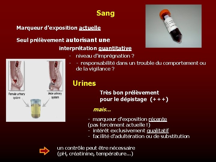 Sang Marqueur d'exposition actuelle Seul prélèvement autorisant une interprétation quantitative - niveau d'imprégnation ?