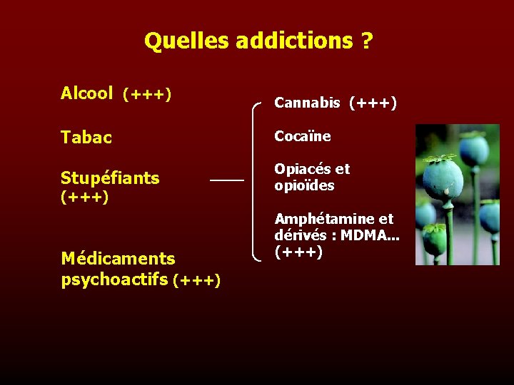 Quelles addictions ? Alcool (+++) Cannabis (+++) Tabac Cocaïne Stupéfiants Opiacés et opioïdes (+++)