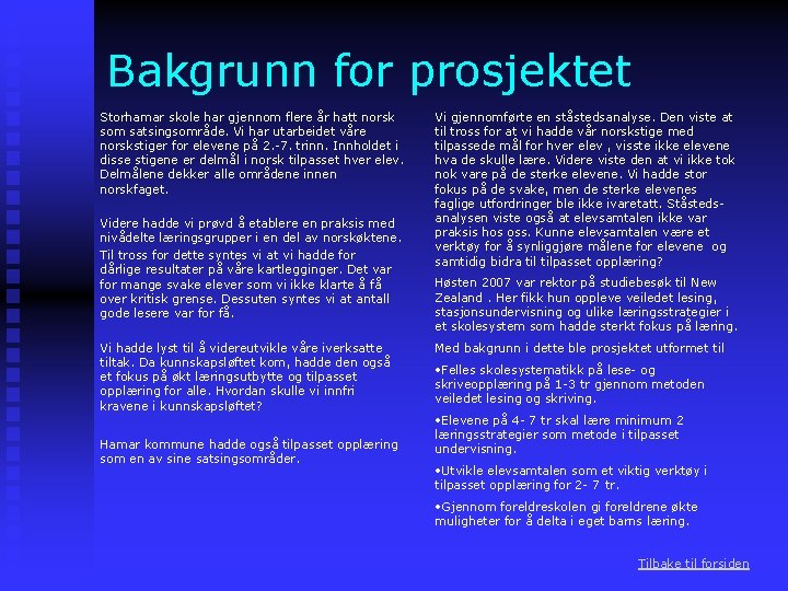 Bakgrunn for prosjektet Storhamar skole har gjennom flere år hatt norsk som satsingsområde. Vi