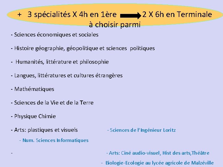 + 3 spécialités X 4 h en 1ère 2 X 6 h en Terminale