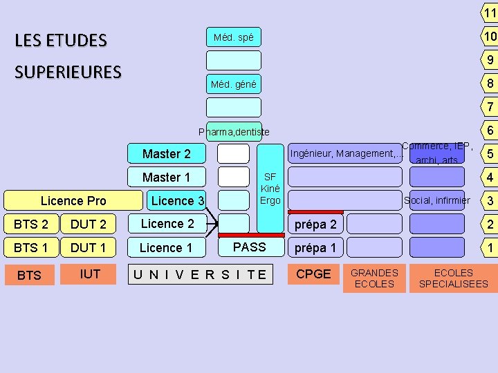 11 LES ETUDES 10 Méd. spé 9 SUPERIEURES 8 Méd. géné 7 6 Pharma,