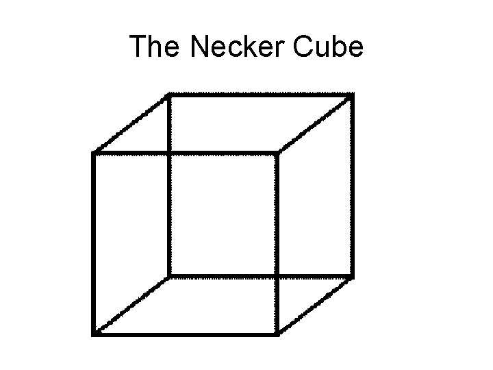 The Necker Cube The Necker Cube