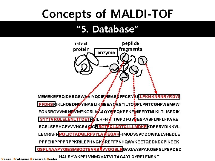 Concepts of MALDI-TOF “ 5. Database” intact protein enzyme peptide fragments MEMEKEFEQIDKSGSWAAIYQDIRHEASDFPCRVAKLPKNKNRNRYRDVS PFDHSRIKLHQEDNDYINASLIKMEEAQRSYILTQGPLPNTCGHFWEMVW EQKSRGVVMLNRVMEKGSLKCAQYWPQKEEKEMIFEDTNLKLTLISEDIK Concepts of MALDI-TOF “ 5. Database” intact protein enzyme peptide fragments MEMEKEFEQIDKSGSWAAIYQDIRHEASDFPCRVAKLPKNKNRNRYRDVS PFDHSRIKLHQEDNDYINASLIKMEEAQRSYILTQGPLPNTCGHFWEMVW EQKSRGVVMLNRVMEKGSLKCAQYWPQKEEKEMIFEDTNLKLTLISEDIK