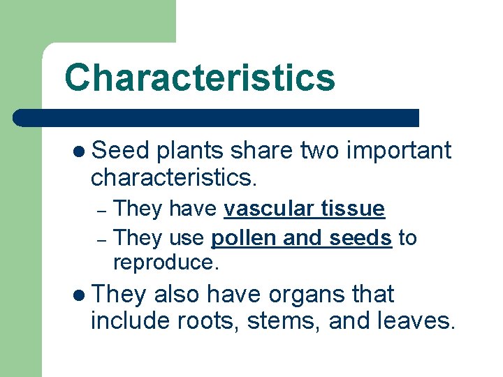 Characteristics l Seed plants share two important characteristics. They have vascular tissue – They