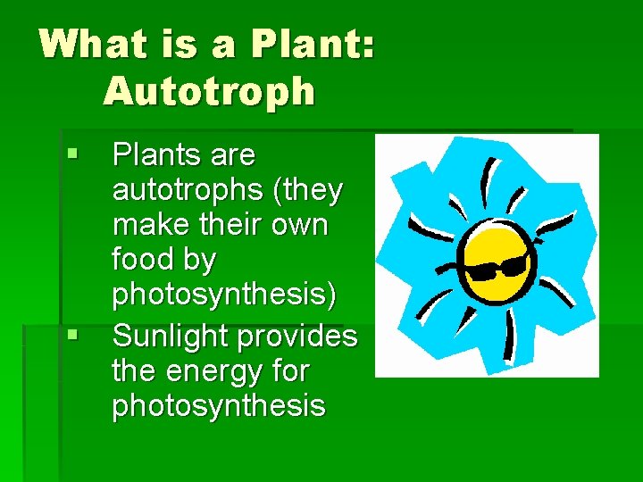 What is a Plant: Autotroph § Plants are autotrophs (they make their own food