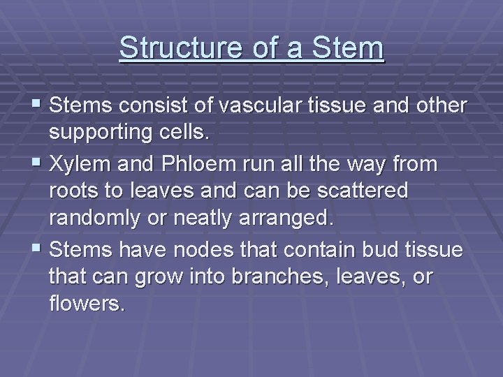 Structure of a Stem § Stems consist of vascular tissue and other supporting cells.