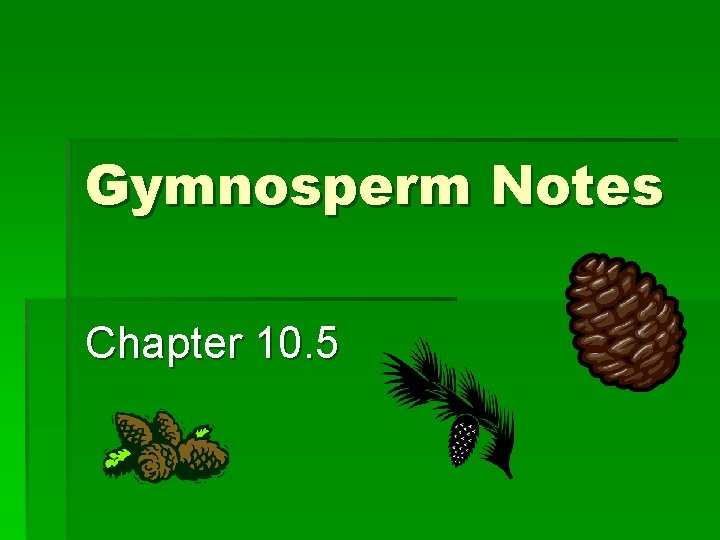 Gymnosperm Notes Chapter 10. 5 