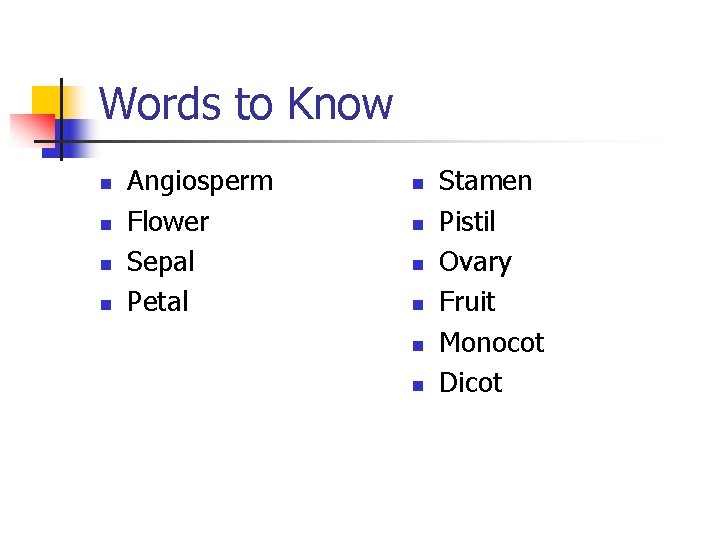 Words to Know n n Angiosperm Flower Sepal Petal n n n Stamen Pistil